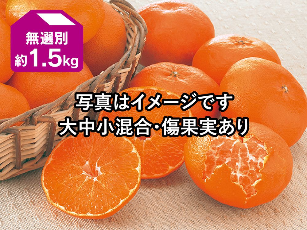 ベルガモット | のま果樹園