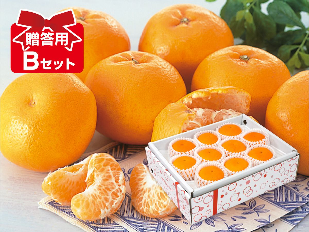 はるみ約5kg-家庭用 | のま果樹園